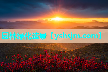 园林绿化造景