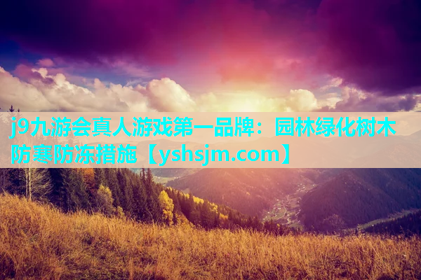 j9九游会真人游戏第一品牌：园林绿化树木防寒防冻措施