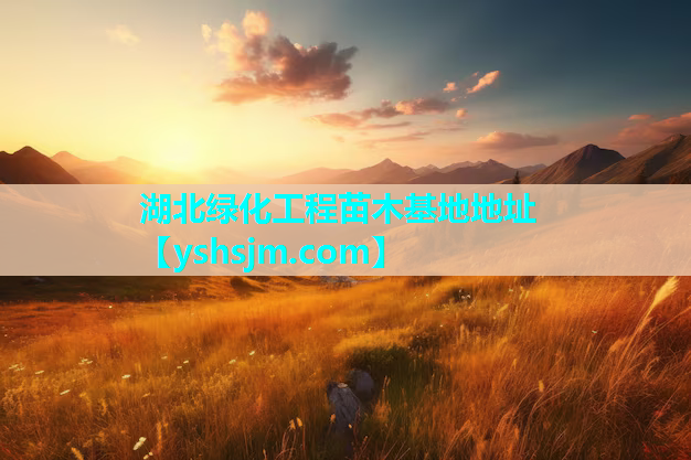 湖北绿化工程苗木基地地址