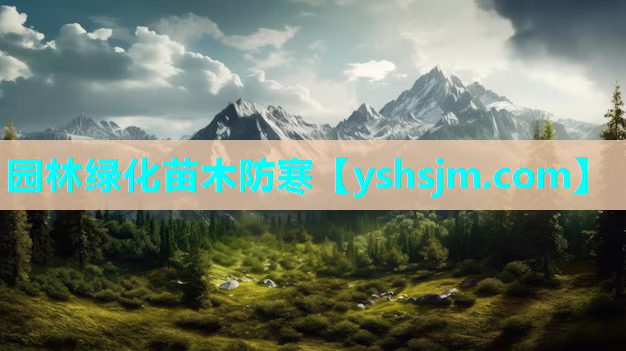 园林绿化苗木防寒