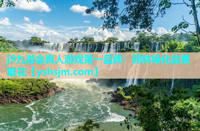 j9九游会真人游戏第一品牌：园林绿化盆景草花