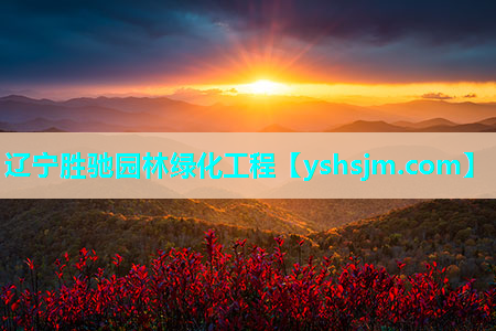 辽宁胜驰园林绿化工程